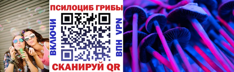 MEGA ТОР Чистополь Галлюциногенные грибы Cubensis где купить наркоту