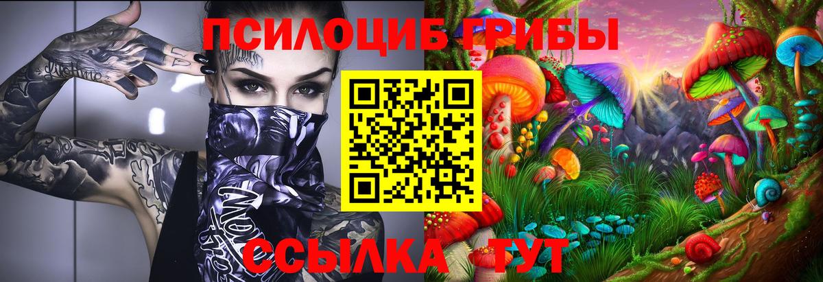 Галлюциногенные грибы ЛСД  Галлюциногенные грибы мицелий  Вход с VPN  Чистополь 